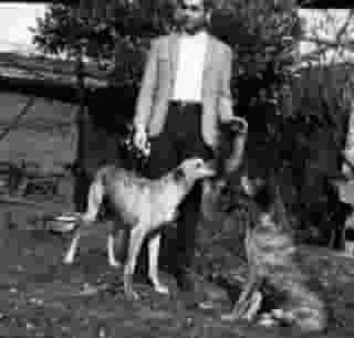 Rogelio José Castillo Gaete