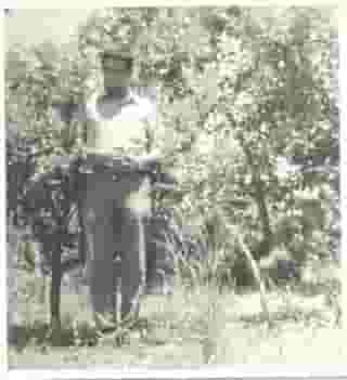 Joaquín del Carmen Marambio Silva